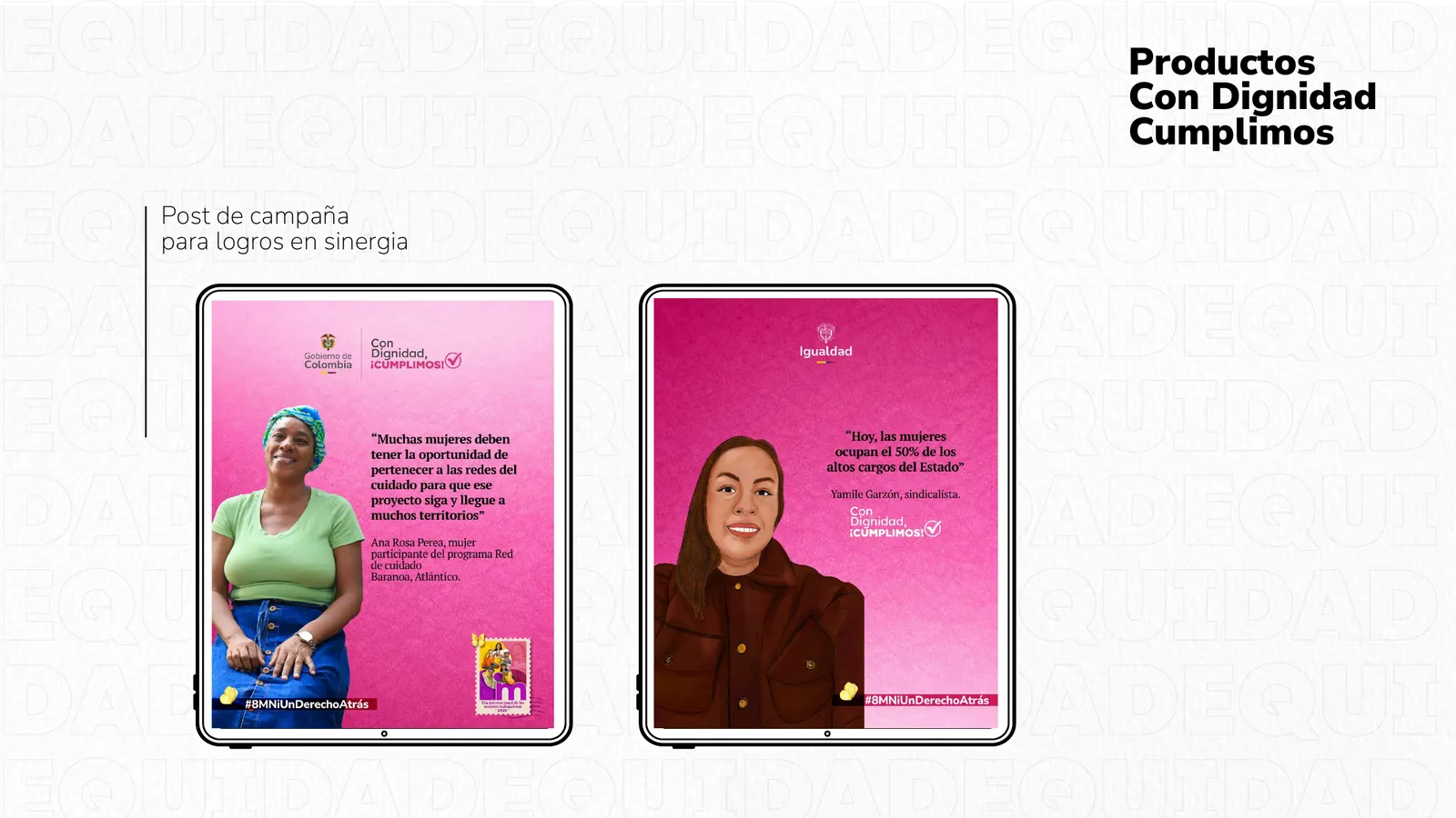 Diseño y estructura de publicaciones informativas de la campaña.
