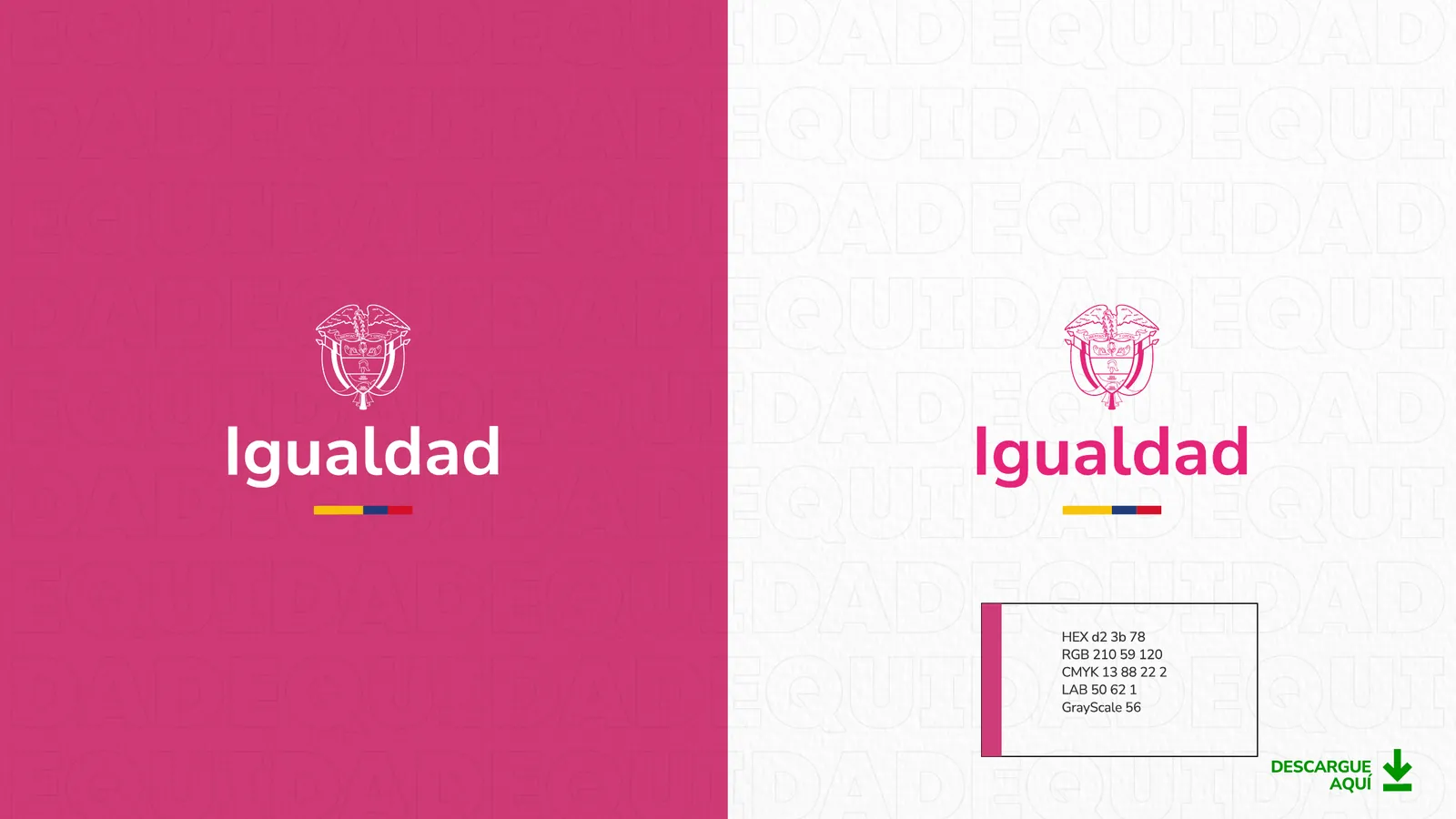 Portada oficial del manual de aplicación de la línea gráfica.