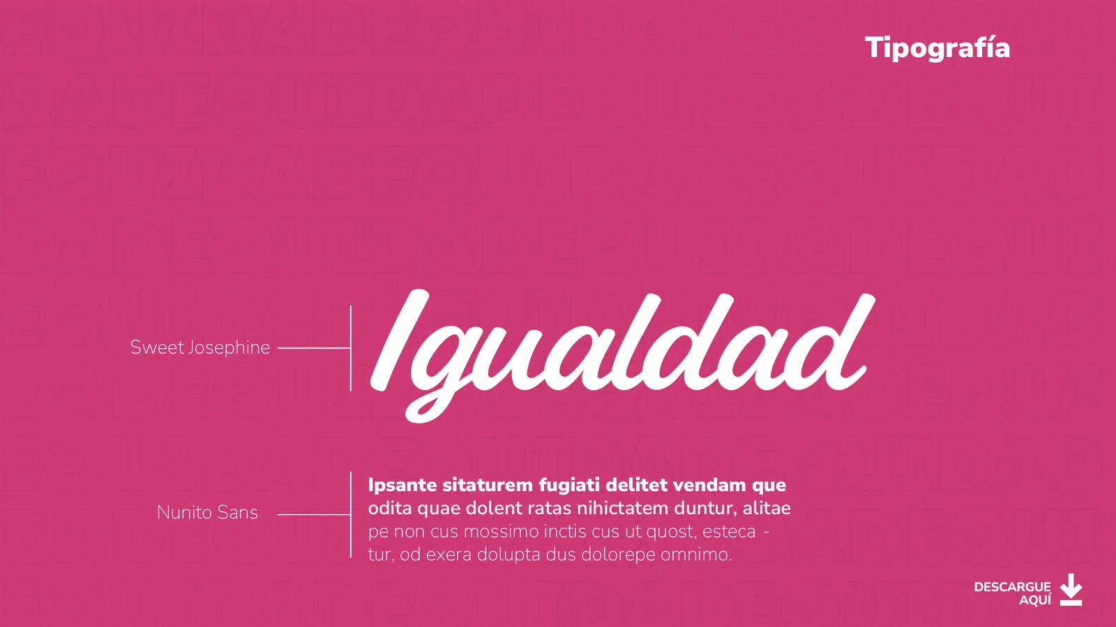 Sistema de fuentes tipográficas y jerarquía visual del manual.